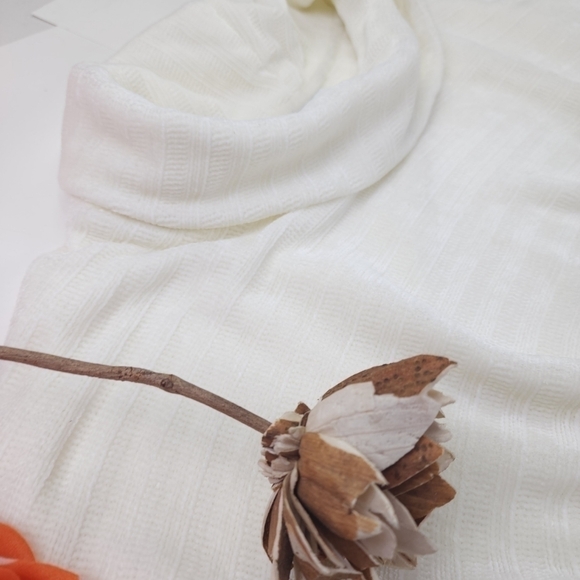 J.jill Cream White Cowl Neck Oversive Fit Sweater Sz L - Picture 6 of 11